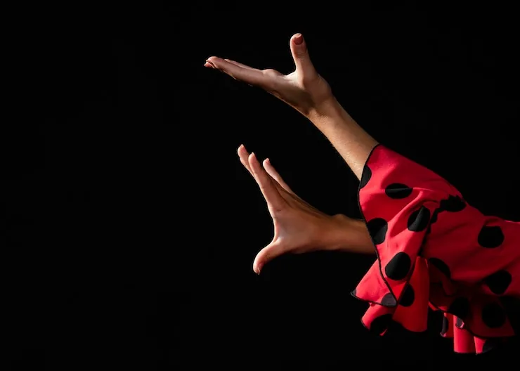 Contacta con experto en viajes de flamenco